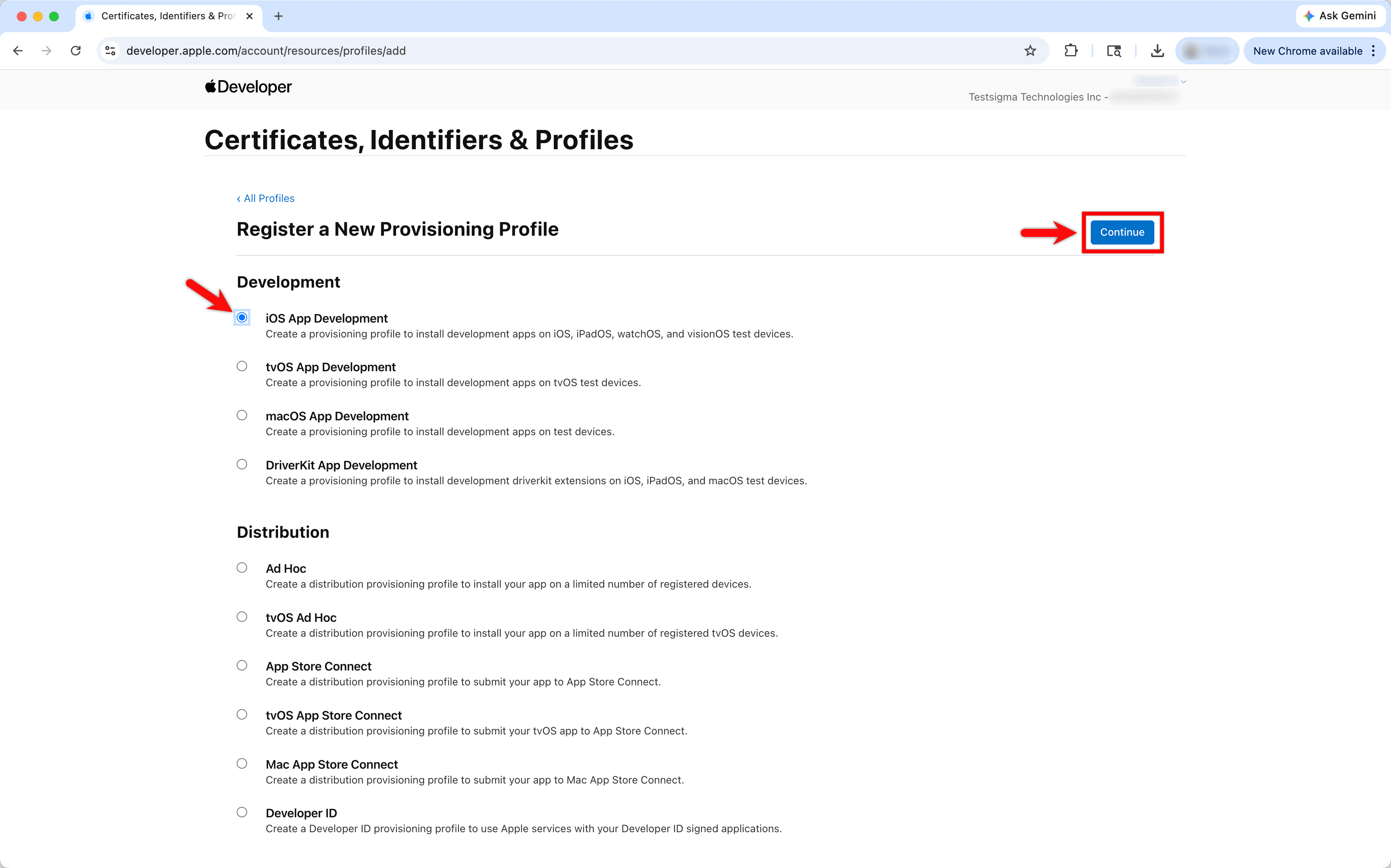 Select iOS App Developer and click continue