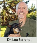 Dr. Lou Serrano - Academy Animal Hospital