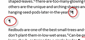 Paragraph Marks