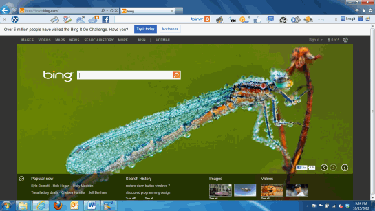 Maximized Window
