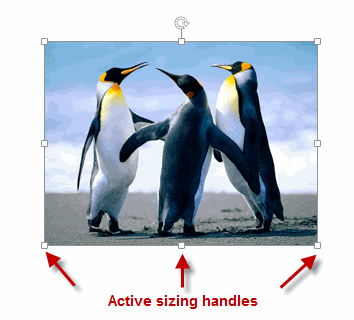 Active Sizing Handles