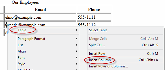Select Table, Insert Column