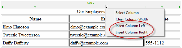 Insert Column Left or Right