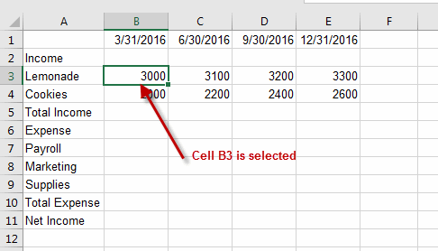 Selected Cell