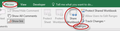 Share Workbook