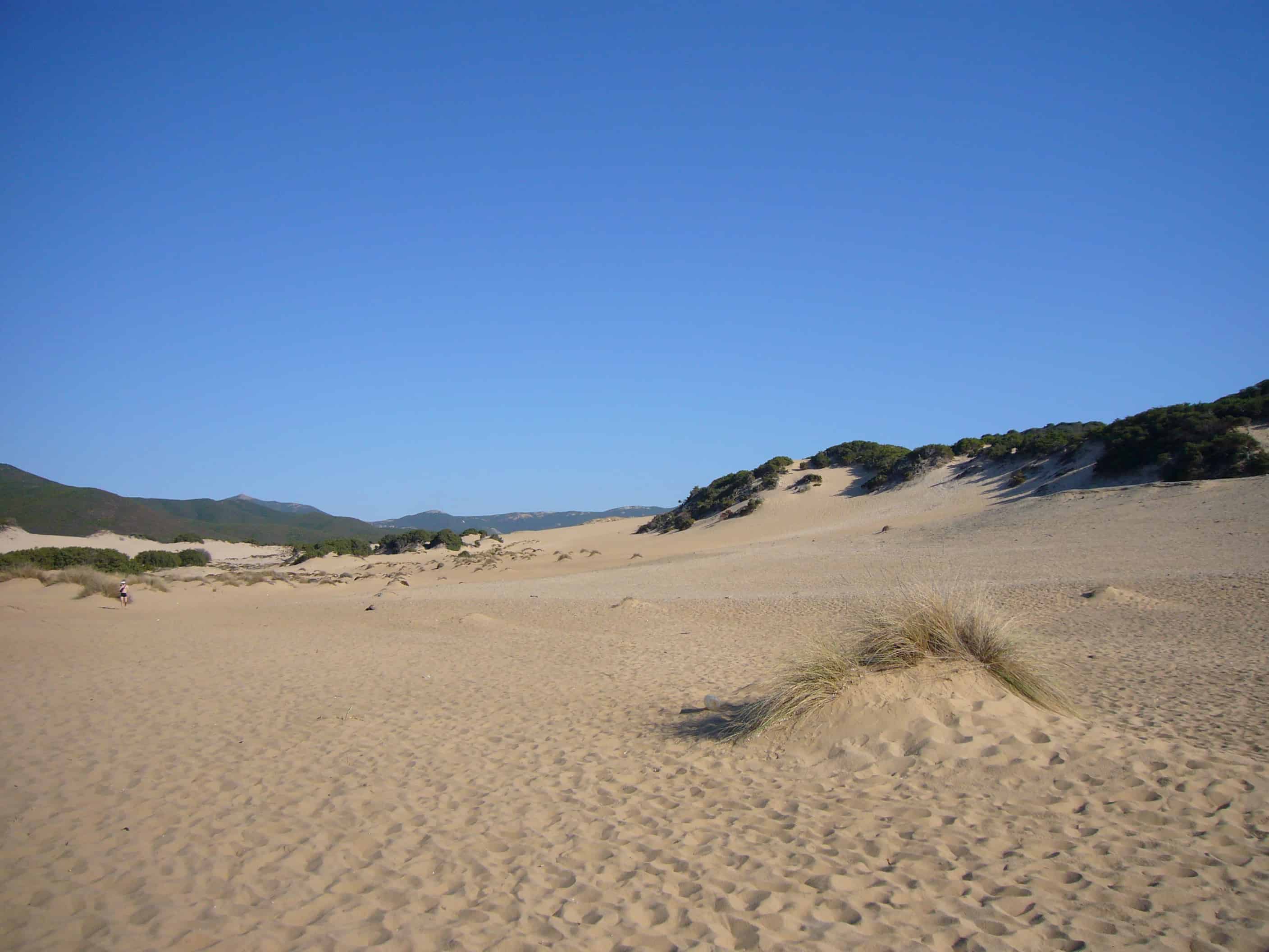 Piscinas Sand Dunes Sardinia Island