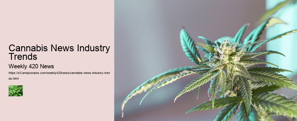 Cannabis News Industry Trends