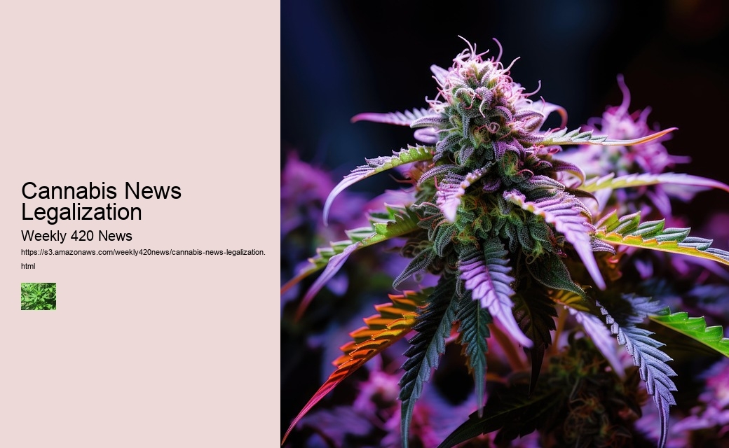 Cannabis News Legalization