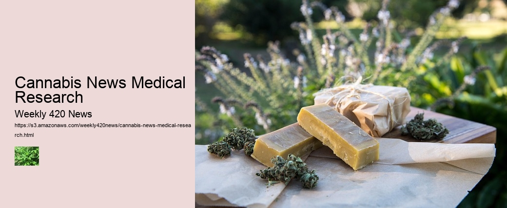 Cannabis News Medical Research