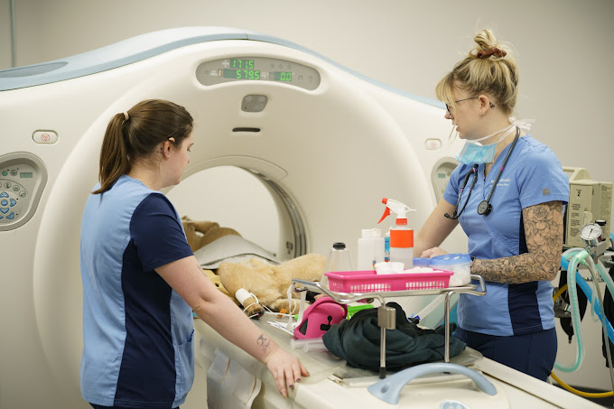 Critical Care Vet Surrey Animal Emergency Center