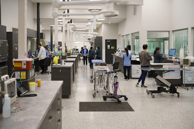 Emergency Animal Doctor Emergency Animal Services Surrey BC