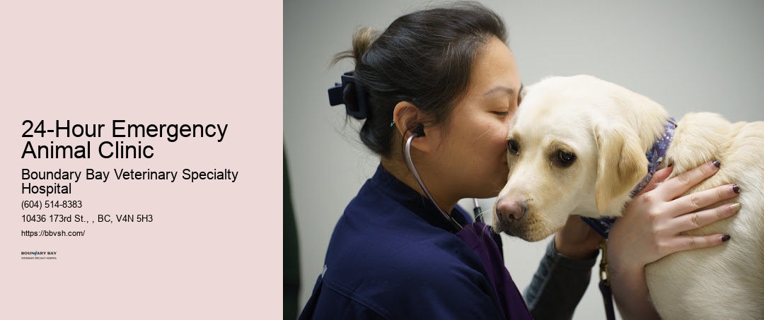 24-Hour Emergency Animal Clinic Surrey