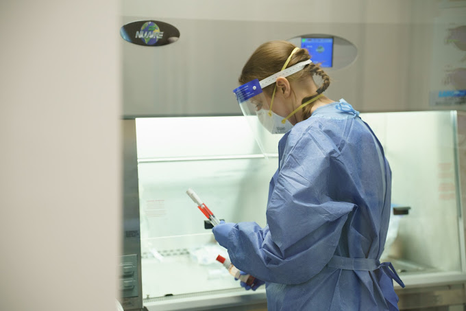 Animal Emergency Medical Services Veterinary Emergency Services Surrey