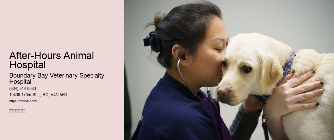 After-Hours Animal Hospital Surrey