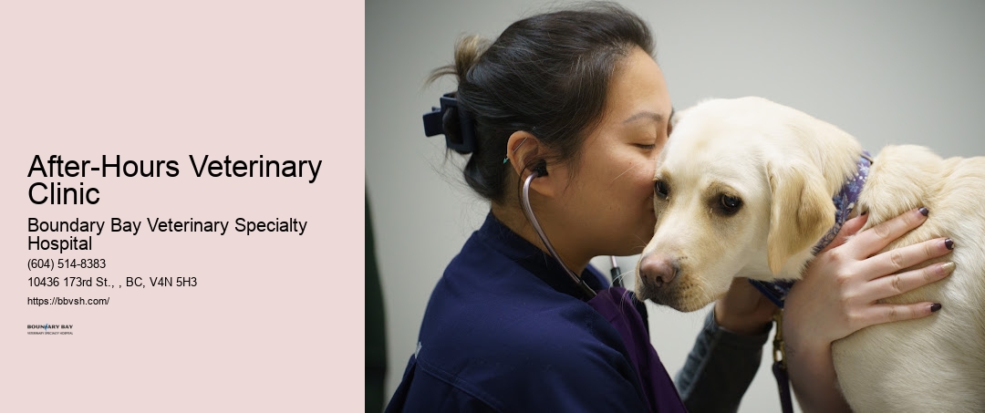 After-Hours Veterinary Clinic Surrey