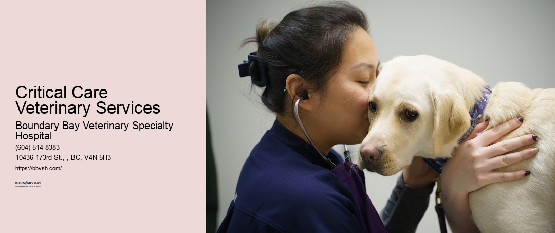 Critical Care Veterinary Services Surrey