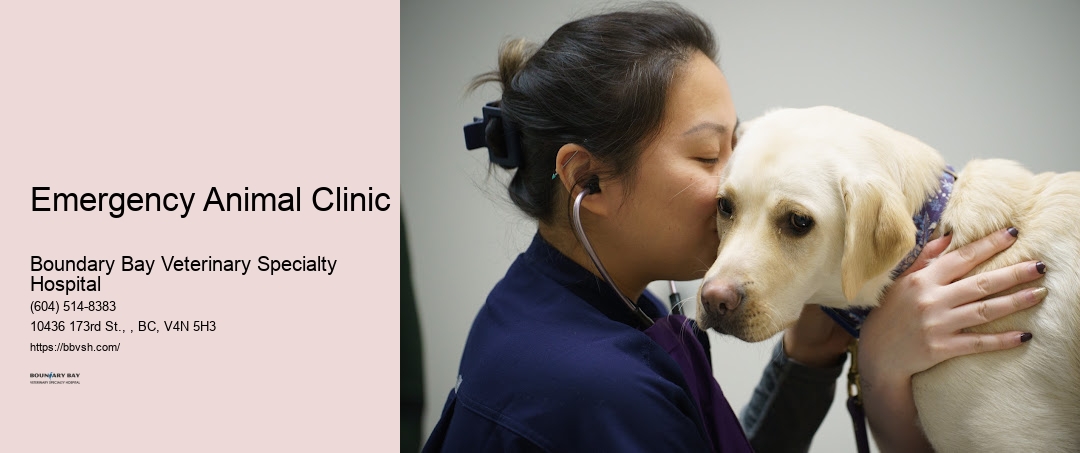 Emergency Animal Clinic Surrey