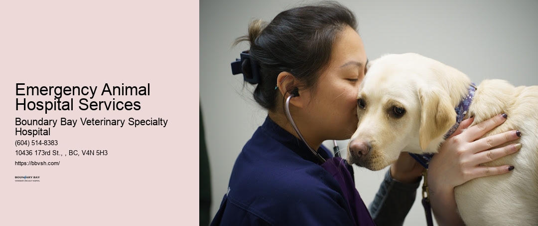 Emergency Animal Hospital Services Surrey