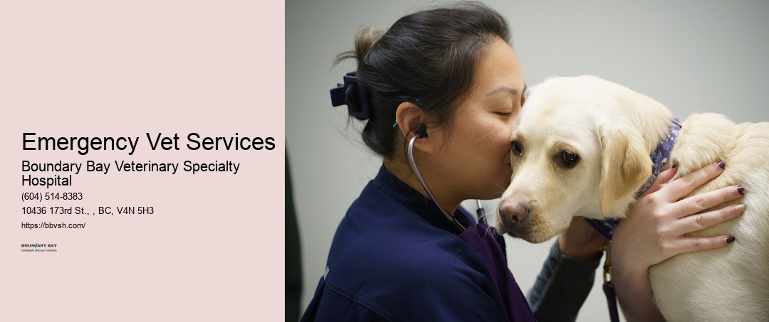 Emergency Vet Services Surrey