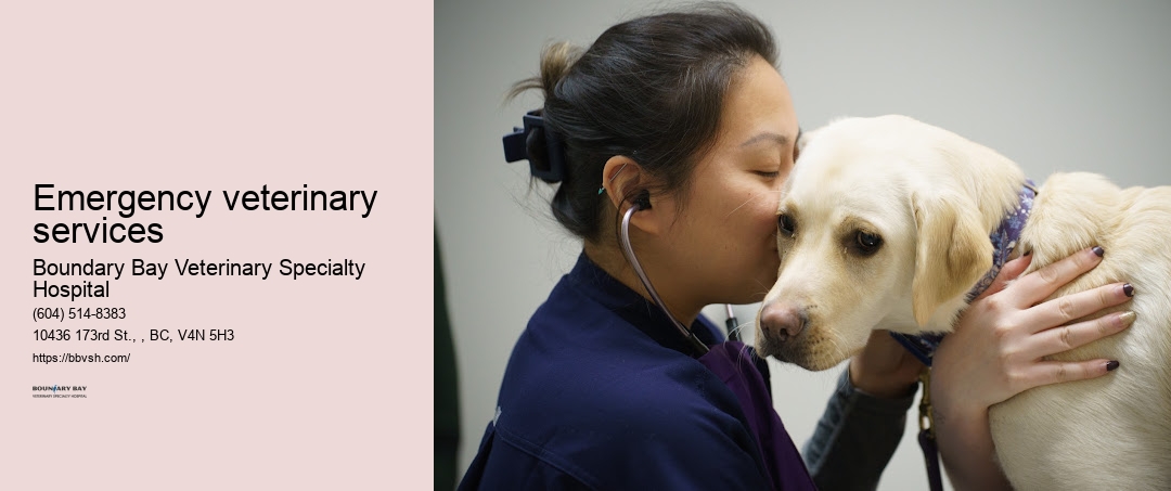 Emergency veterinary services Surrey