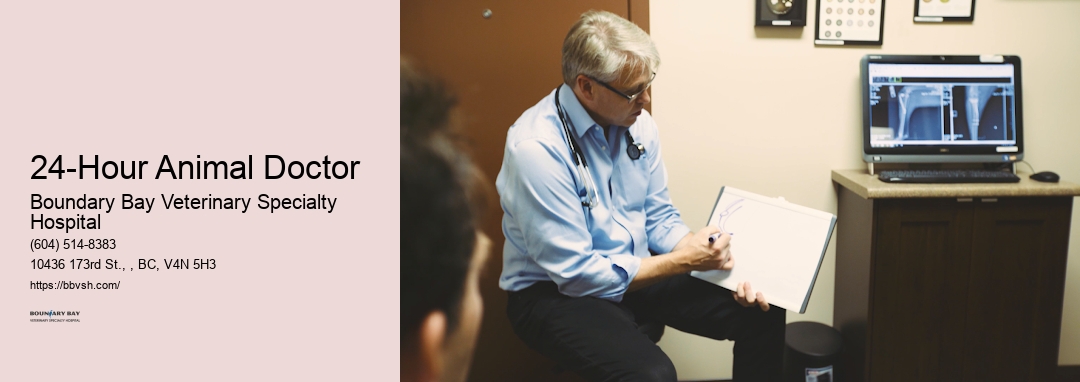 Emergency Puppy Hospital 24-Hour Animal Doctor Surrey