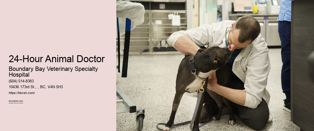 24-Hour Animal Doctor Surrey Animal Emergency Services