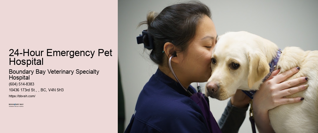 24-Hour Emergency Pet Hospital Surrey