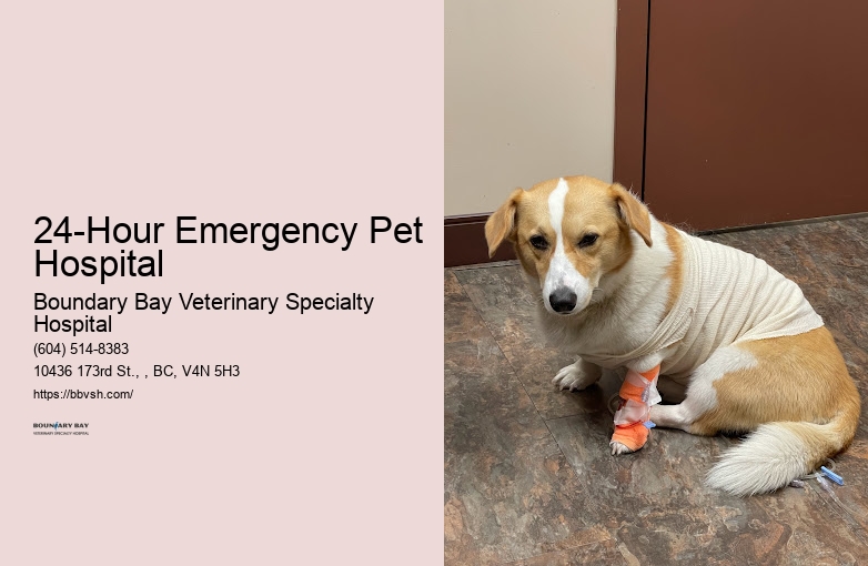 Pet First Aid Emergency 24-Hour Emergency Pet Hospital Surrey