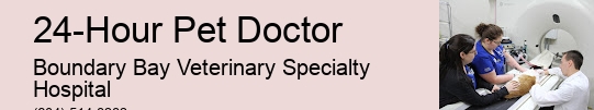 Dog Emergency Clinic 24-Hour Pet Doctor Surrey