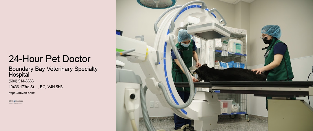 Emergency Pet Help 24-Hour Pet Doctor Surrey