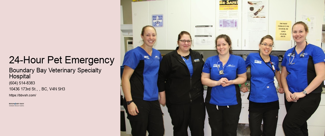 24-Hour Animal Er 24-Hour Pet Emergency Surrey