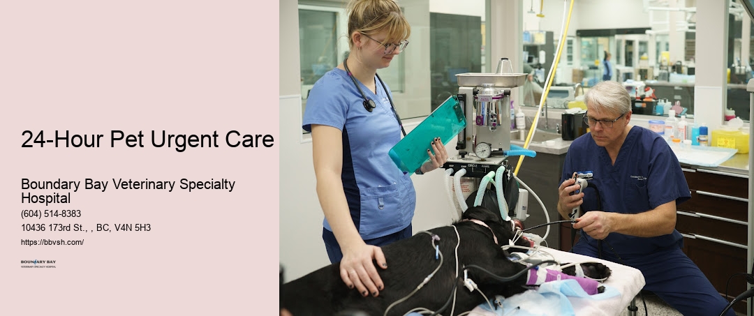 Urgent Pet Surgery Near Me 24-Hour Pet Urgent Care Surrey