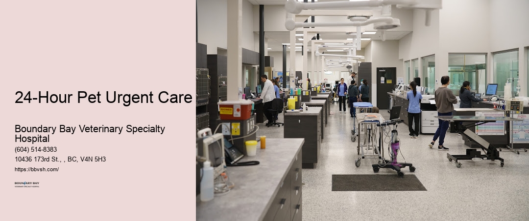 24-Hour Pet Urgent Care Surrey Pet Trauma Clinic