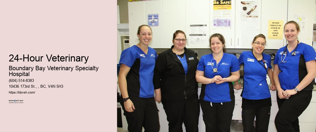 Pet Emergency Clinic Open 24/7 24-Hour Veterinary Surrey