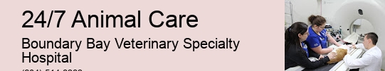 Emergency Animal Treatment 24/7 Animal Care Surrey