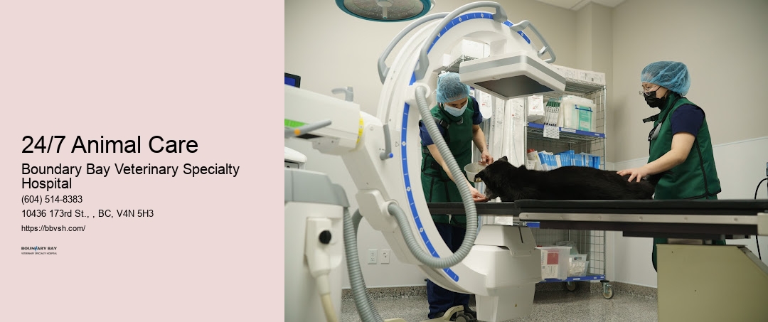 Urgent Care For Animals 24/7 Animal Care Surrey