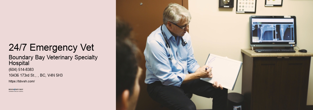 Emergency Vet Clinic 24/7 Emergency Vet Surrey