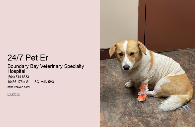 Pet Emergency Care Near Me 24/7 Pet Er Surrey