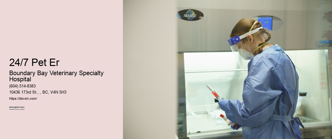 Dog Emergency Vet 24/7 Pet Er Surrey