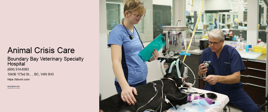 Animal Life Support Animal Crisis Care Surrey