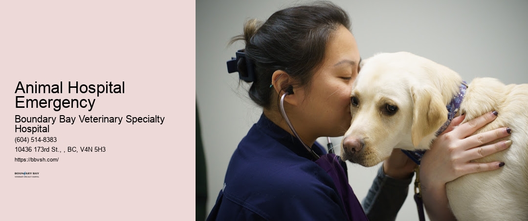 Animal Hospital Emergency Surrey