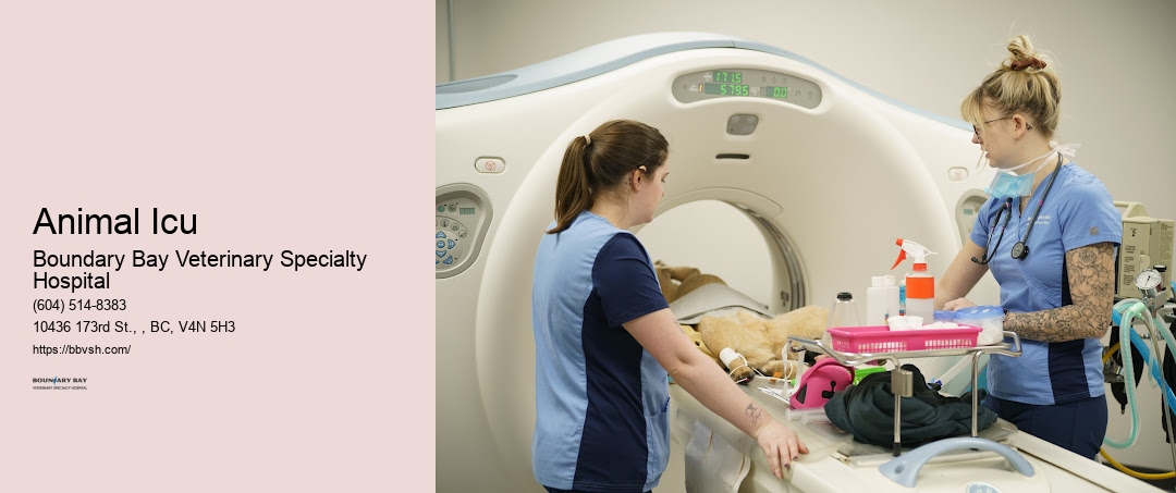 Emergency Pet Hospitalization Animal Icu Surrey