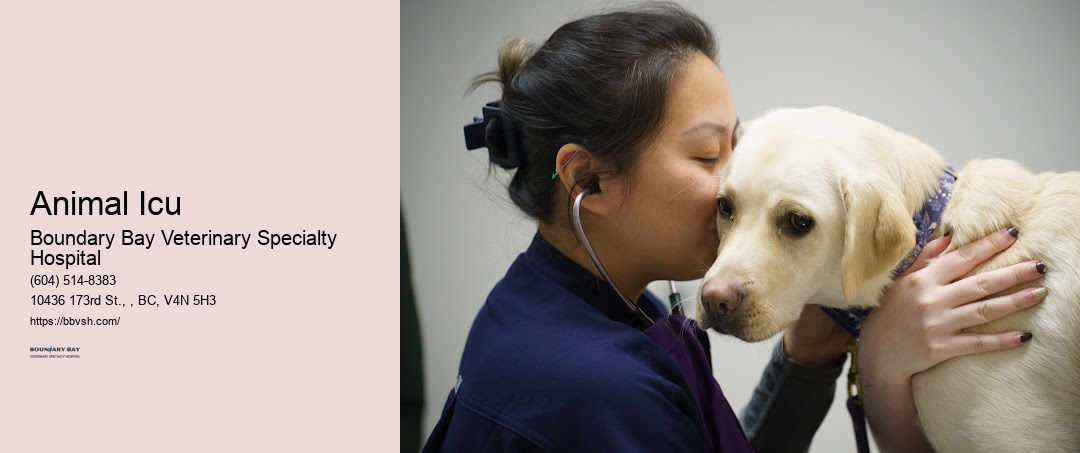 Animal Icu Surrey