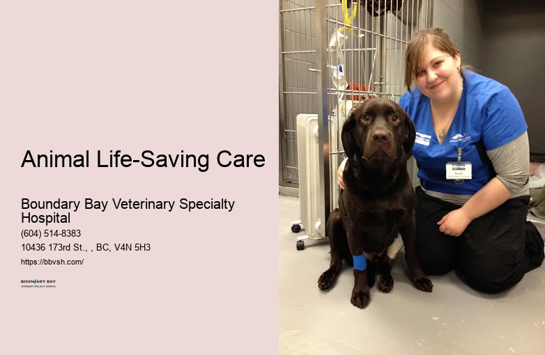 Animal Life-Saving Care Surrey Vet Open 24 Hours For Emergencies