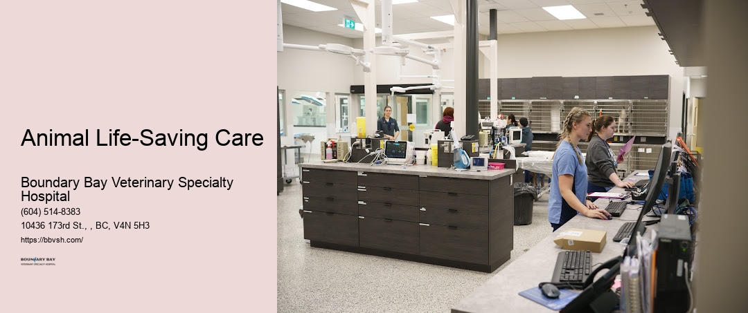 24-Hour Cat And Dog Emergency Animal Life-Saving Care Surrey