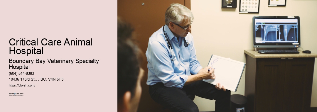 24-Hour Emergency Care For Pets Critical Care Animal Hospital Surrey