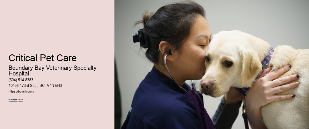 Critical Pet Care Surrey