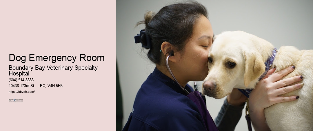 Dog Emergency Room Surrey