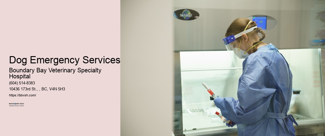 After-Hours Animal Hospital Dog Emergency Services Surrey