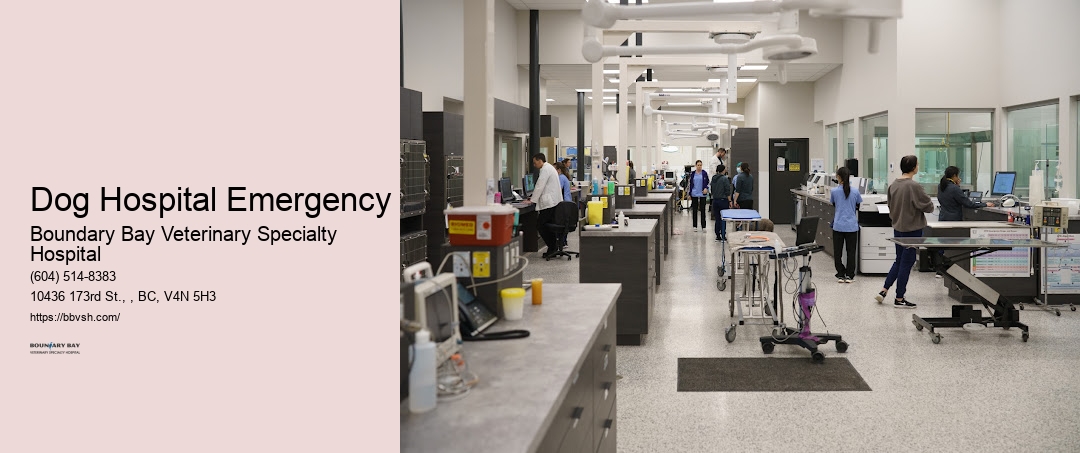 24-Hour Pet Critical Surgery Dog Hospital Emergency Surrey